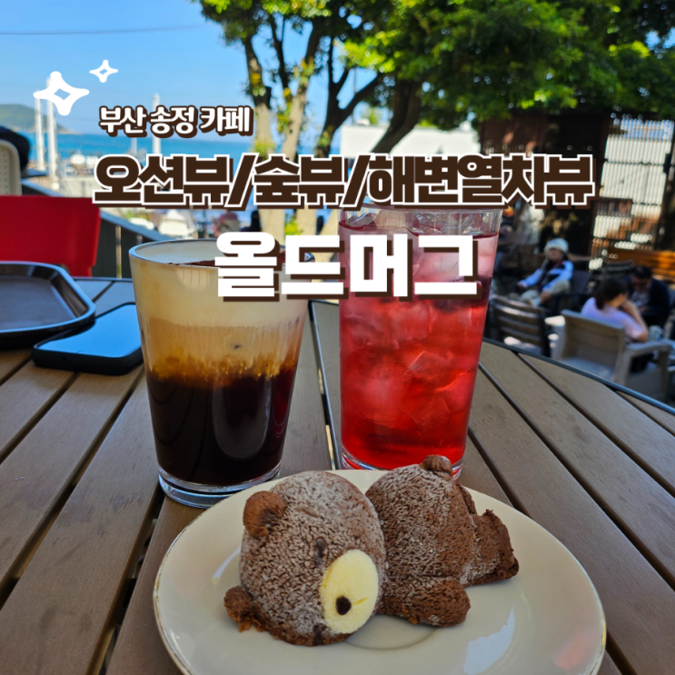  부산 송정 올드머그 귀여운 곰돌이케이크가 있는 오션뷰 숲뷰 해변열차뷰 카페 추천