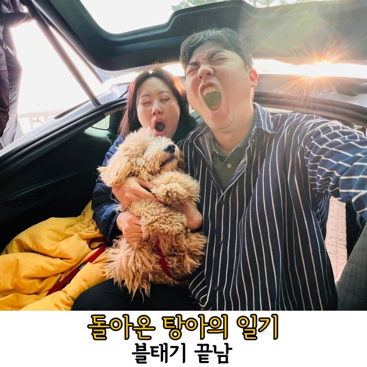  천번의 블태기를 겪고 천일번째 다시 돌아와서 쓰는 일기.