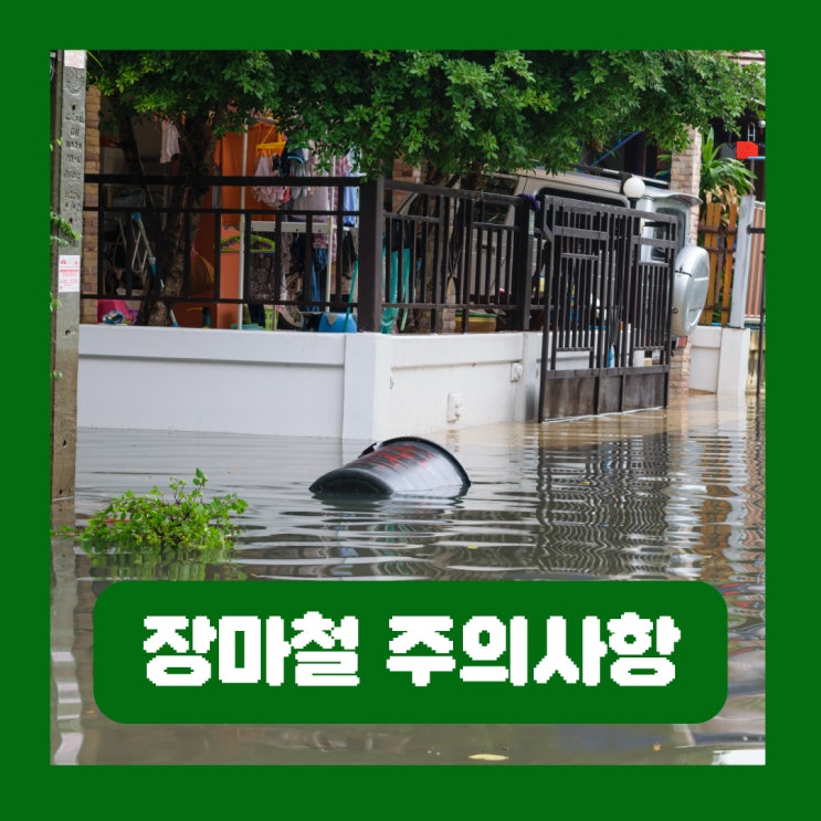  장마철 주의사항 집이나 차량 침수 시 행동요령