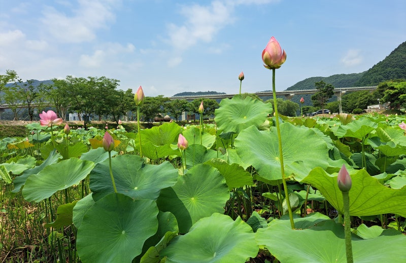 사진 3