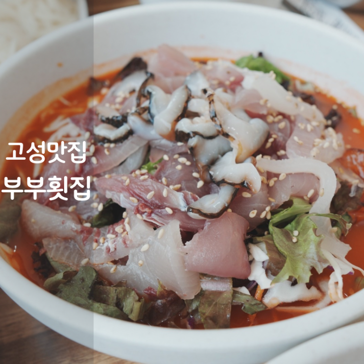  강원도 고성 맛집 고성 부부횟집 물회 회덮밥