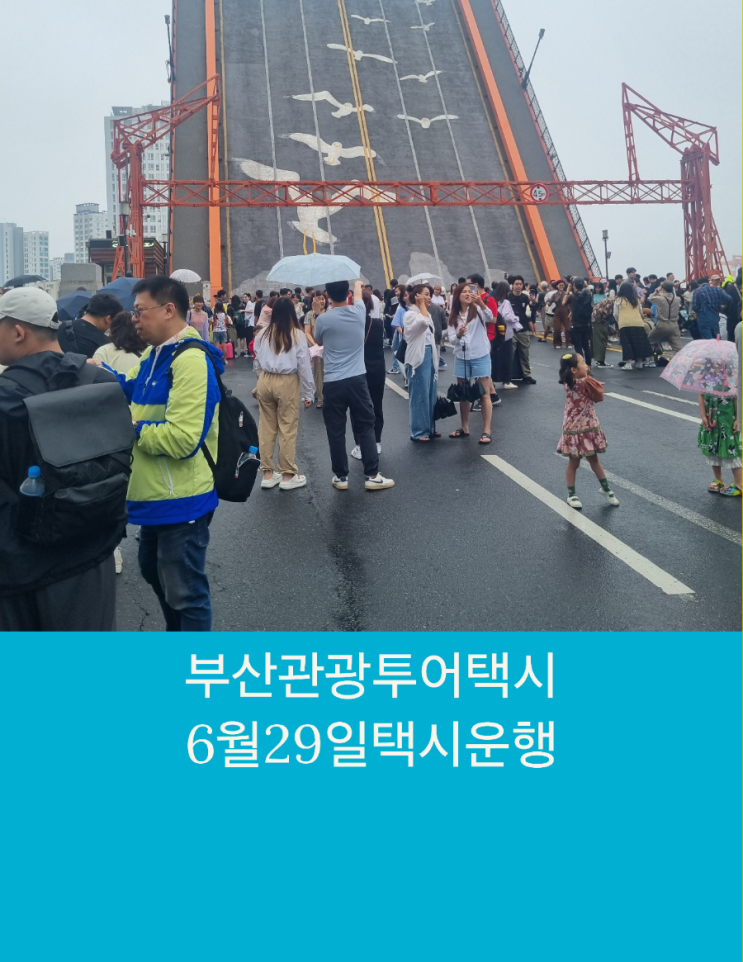  부산택시투어 무조건 가이드만 따라오세요