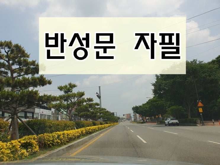  음주운전 반성문 자필 대필 효과적인 글쓰기 방법은?