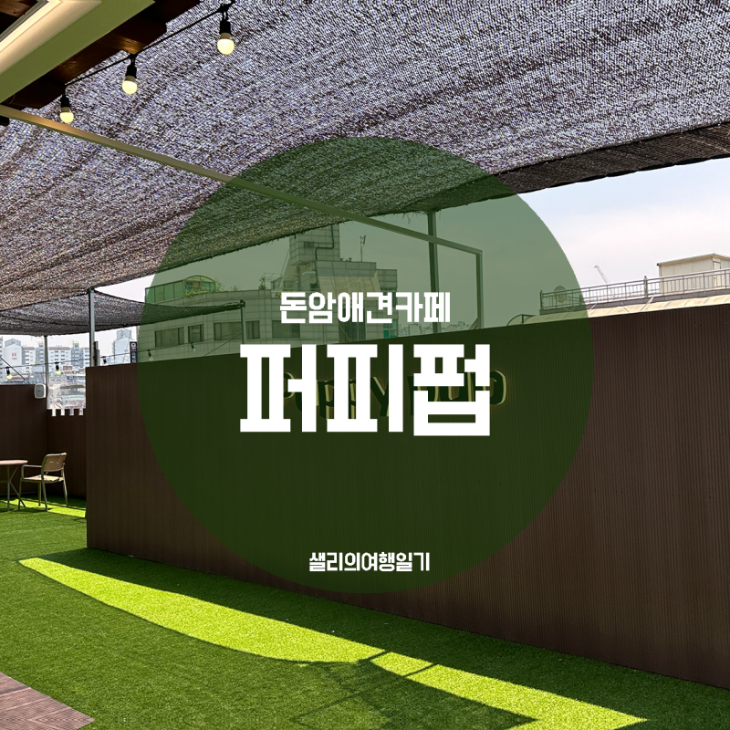 사진 3