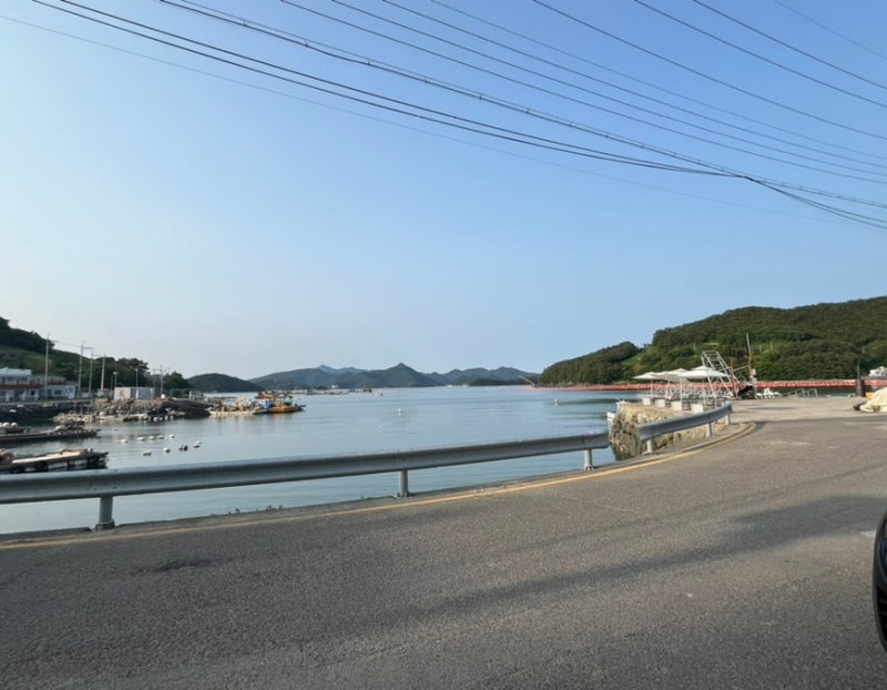 카페배양장