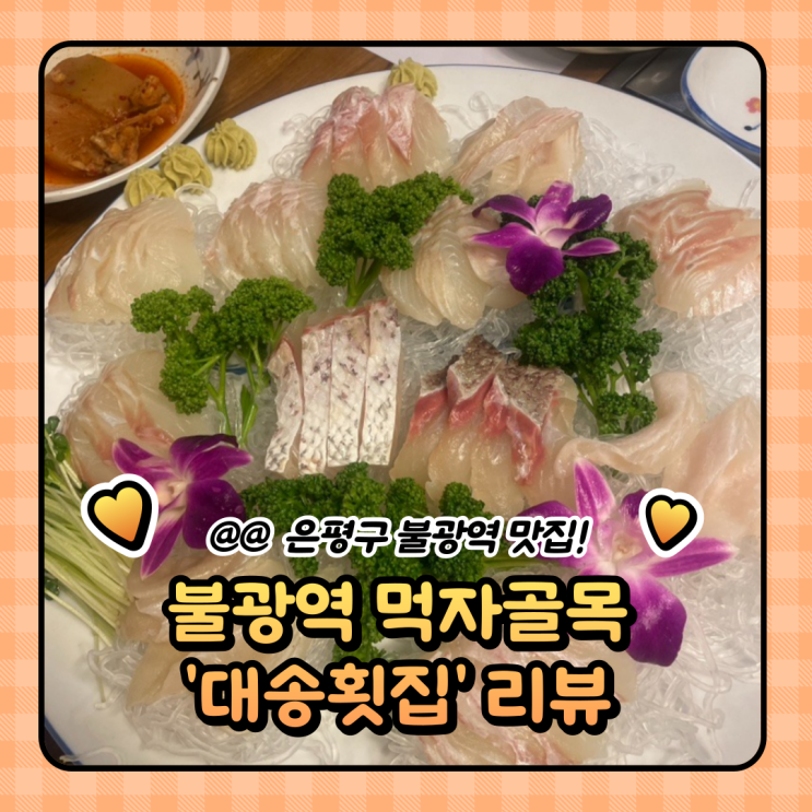  불광역 먹자골목 맛집 : 스키다시가 다양한 대송 횟집 (웨이팅/주차/메뉴)