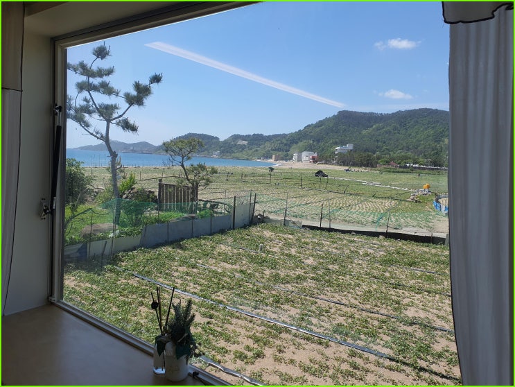  [태교여행] 포항감성숙소 바다를 온전히 느꼈던 오션뷰펜션 삼대한채