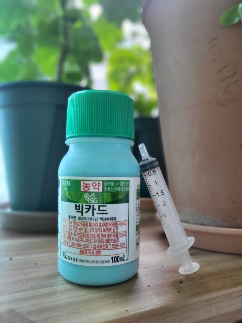 제라늄 뿌리파리 퇴치하기, 베란다 모든 화분 뿌리파리, 빅카드 농약으로 퇴치하기, 빅카드 ....