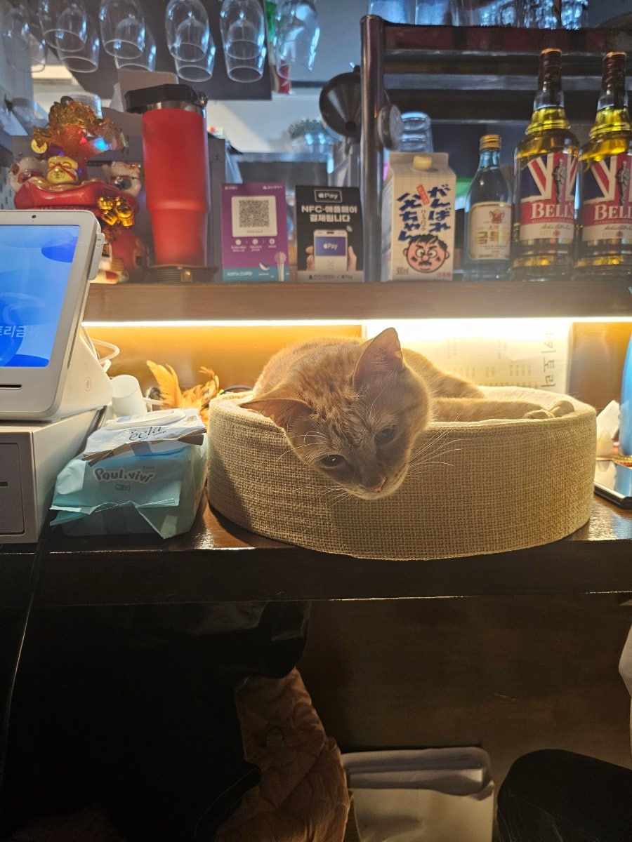 야키토리금복 사진 3