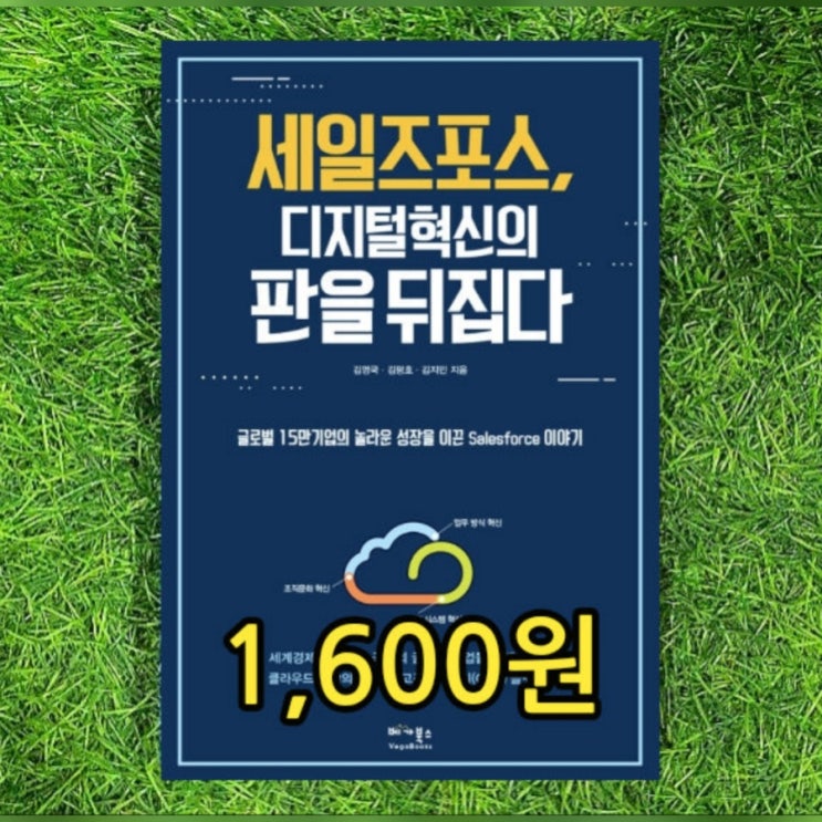 세일즈포스, 디지털 혁신의 판을 뒤집다 1,600원 고객관계관리(CRM) 조직문화 혁신, 업무 방식 혁신, IT 시스템 혁신 등 혁신전략 애자일 뜻 애자일 방법론 까지