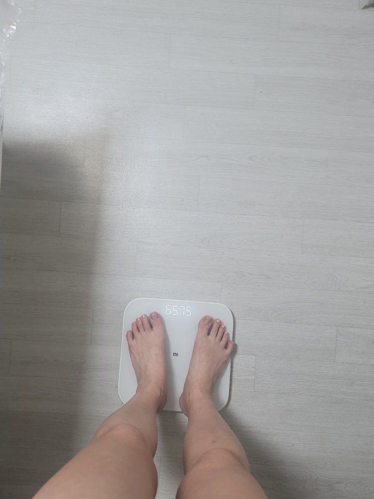  다이어트 일기