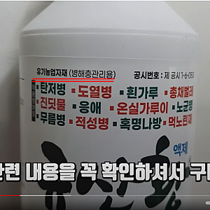 친환경 살충제 살균제 동시효과 규산황 사용법 총정리
