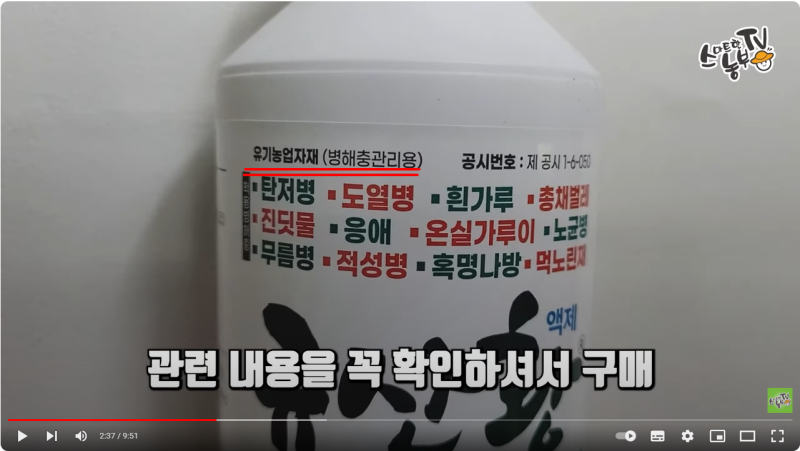 친환경 살충제 살균제 동시효과 규산황 사용법 총정리