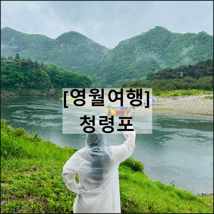  청령포 | 비오는날 영월여행 소요시간 해설 주차 입장료