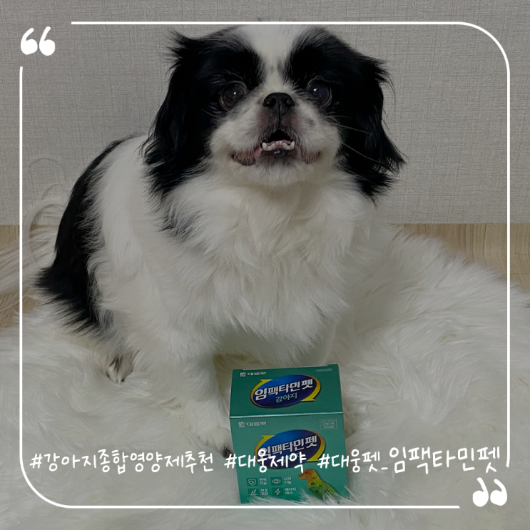  강아지영양제추천 강아지종합영양제 대웅제약 대웅펫 임팩타민펫