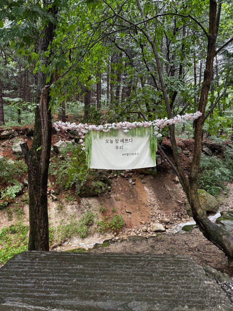  포천 비발디하우스 계곡 캠핑 펜션 후기