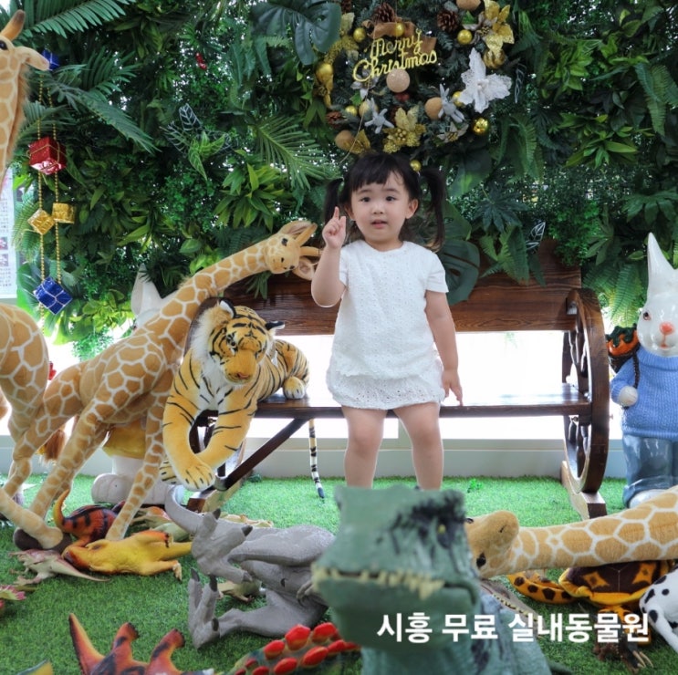  비 오는 날 인천근교 35개월 아기랑 시흥에서 즐기는 무료 실내동물원 밀레에듀파크 :) 작은 동물 온도