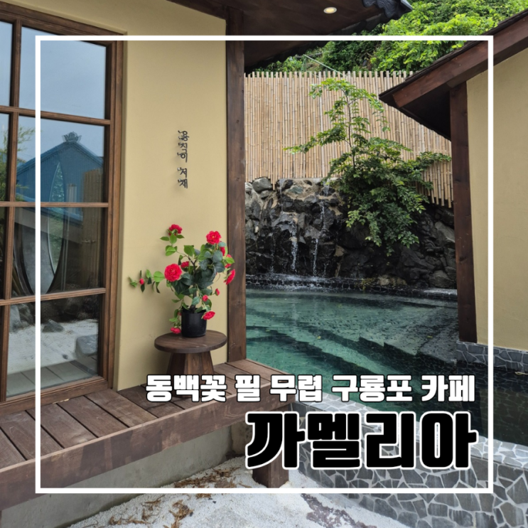 동백꽃 필 무렵 드라마 속 감성 포항 카페 까멜리아 구룡포 일본인 가옥 거리 주차