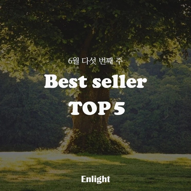  2024년 6월 5주차 온라인 서점 베스트셀러 Top 5 - 알라딘, 교보문고, 예스24 베스트셀러