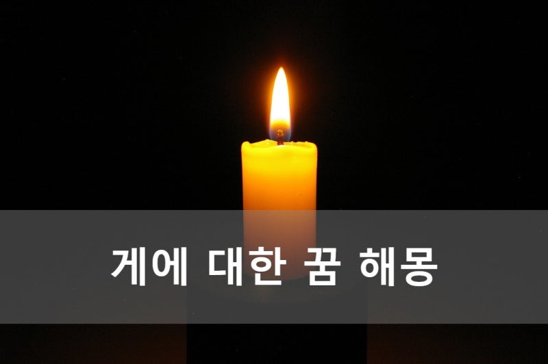 게와 관련된 꿈 해몽