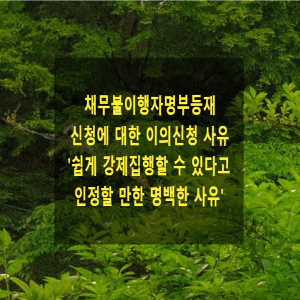  채무불이행자명부등재신청에 대한 이의신청 사유인 '쉽게 강제집행할 수 있다고 인정할 만한 명백한 사유'의 증명책임