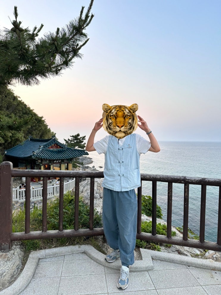  낙산사 템플스테이 휴식형 후기 | 예약방법 준비물 대중교통 상세정보