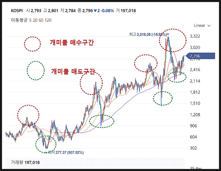  개미투자자들의 일반적인 주식 투자 패턴