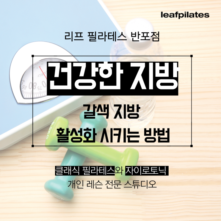  [서래마을 필라테스] 갈색 지방의 효능과 늘리는 방법/ 반포필라테스 리프