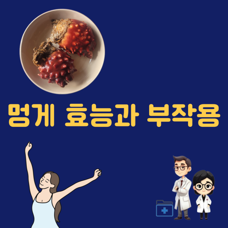  멍게 효능 멍게 부작용