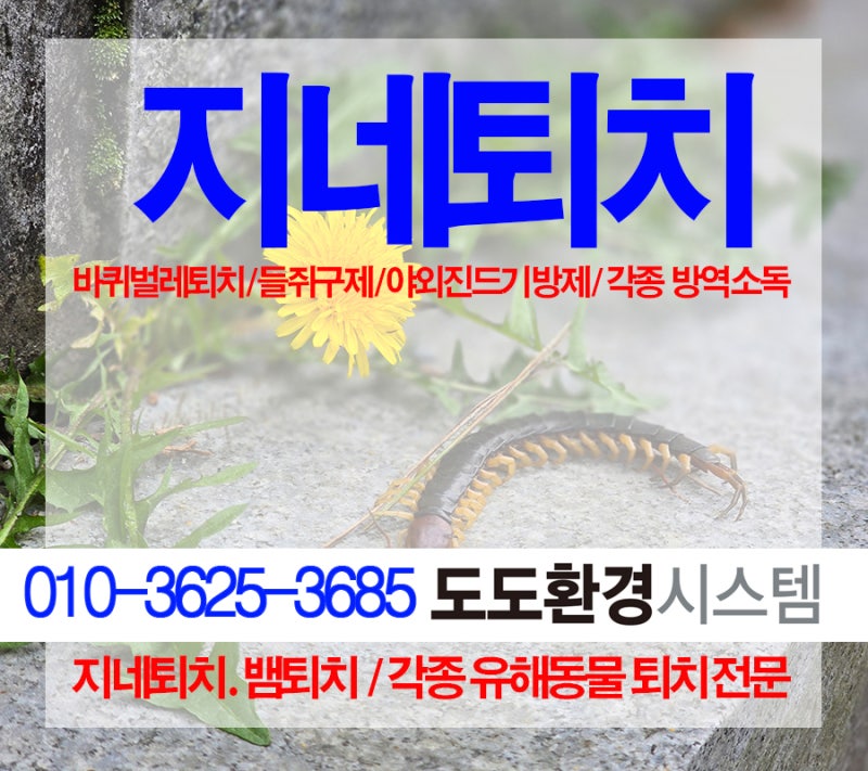 지네퇴치,독 지네퇴치방법,지네없애는법을 알아봅니다