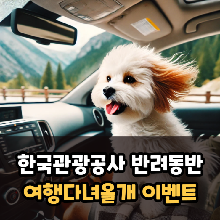  한국관광공사 가볼만한곳 여행다녀올개 이벤트