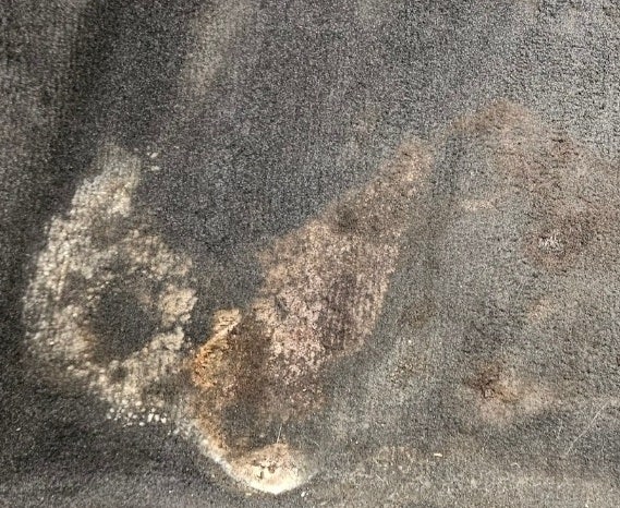  인천 서구 공촌동 세차장 - 여름철 덥고 습한 날씨 자동차 내부 부분 실내크리닝으로 곰팡이 제거