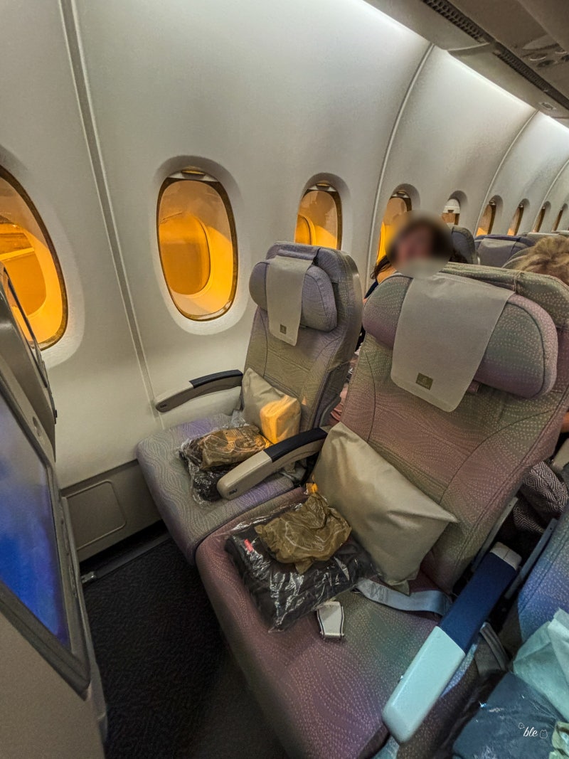 에미레이트 항공 기내식 이코노미 좌석 후기 : 네이버 블로그