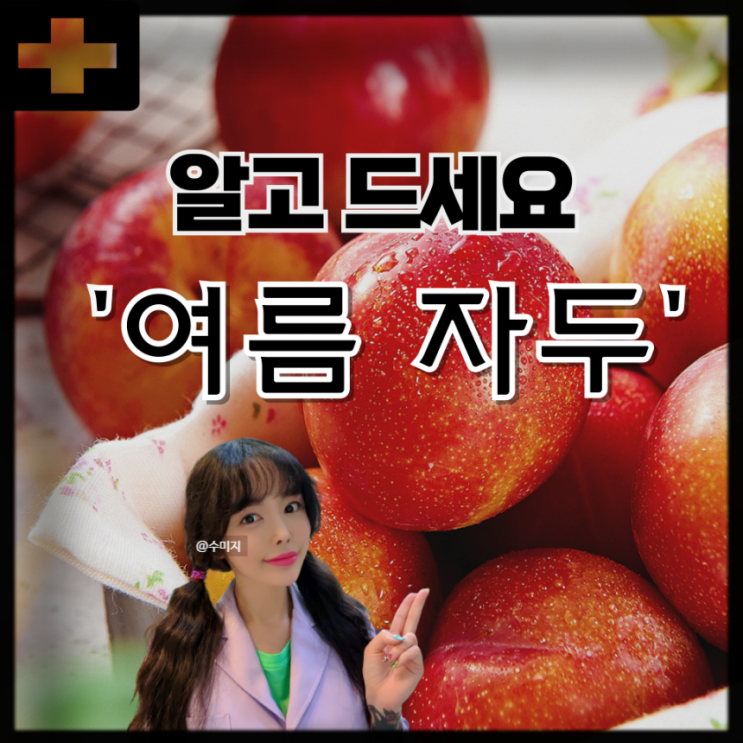 자두의 효능 : 자두 효능 칼로리 부작용 알고 드세요