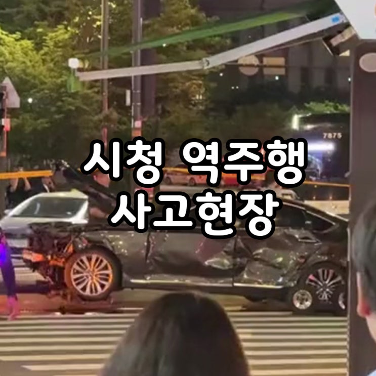 <b>시청역</b> 역주행  14명 사상자<b>사고 현장</b>영상