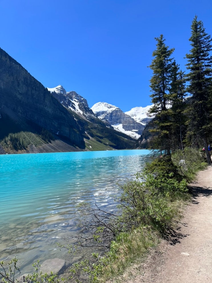  [캐나다 밴프 여행] 세계 10대 절경, 반드시 가야 할 밴프 국립 공원 호수 "레이크 루이스(Lake Louise)" +에메랄드빛을 띄는 이유