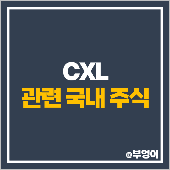 컴퓨트익스프레스링크 CXL 관련주 엑시콘 삼성전자 SK하이닉스 주가 컴퓨트익스프레스링크 CXL 관련주 엑시콘 삼성전자 SK하이닉스 주가