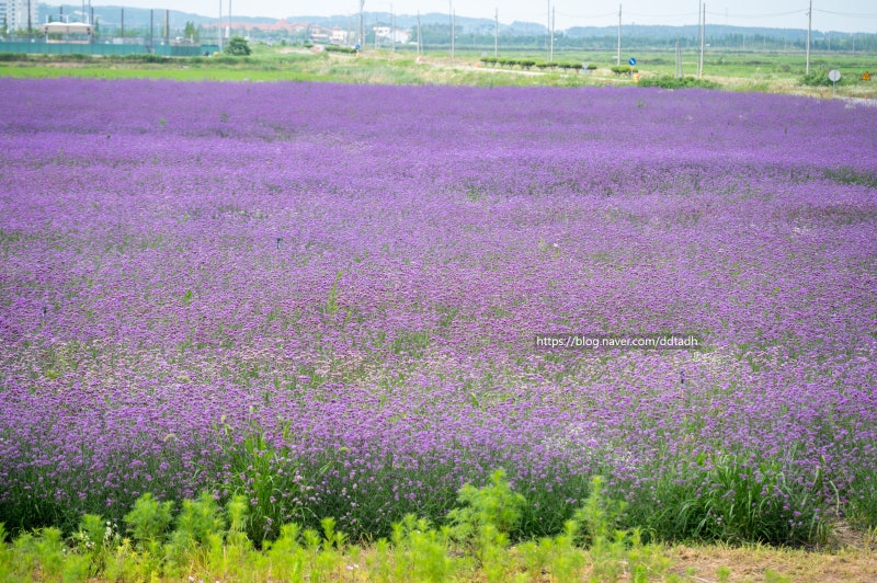 사진 9