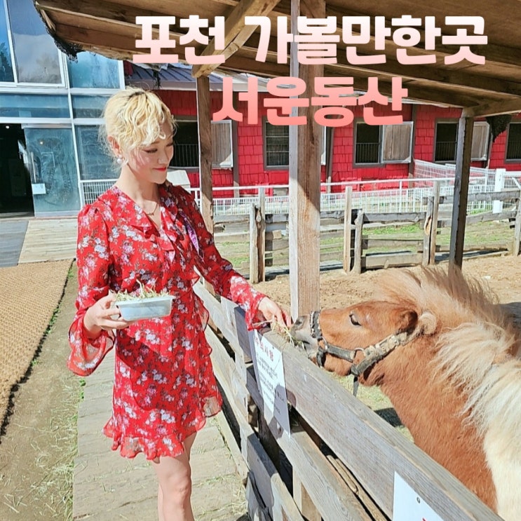  포천  가볼만한곳 서운동산 놀거리 먹이주기 체험