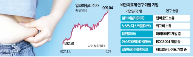 뜨거운 비만약 테마주…후발주자에 관심 뜨거운 비만약 테마주…후발주자에 관심
