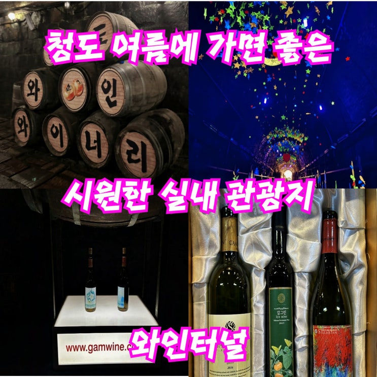  [청도] 여름에 시원한, 가볼만한 와인터널 흐린날 실내 관광 여행 코스 추천
