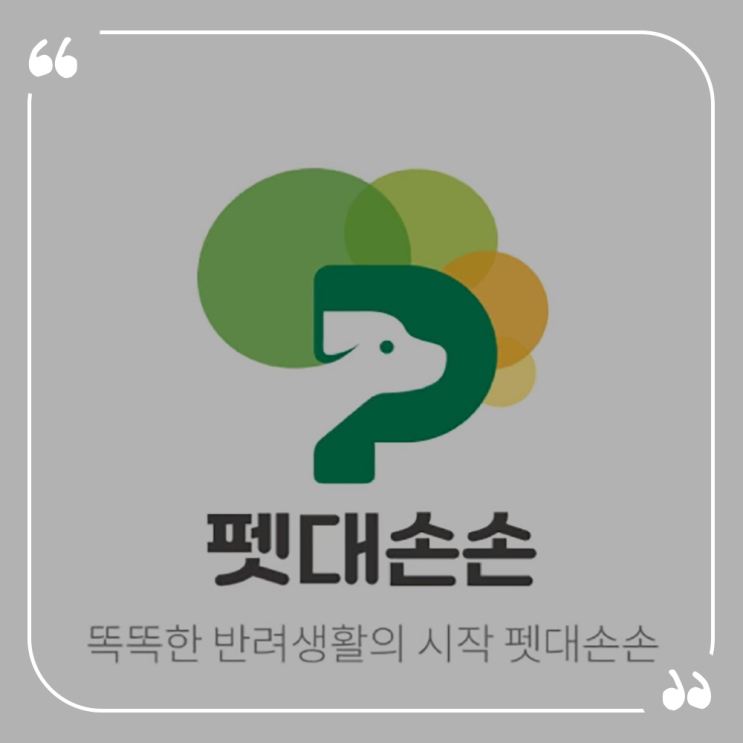  반려동물앱추천 올인원케어앱서비스 펫스티벌까지 펫대손손 후기