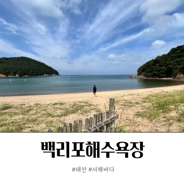  태안 백리포해수욕장 서해바다 즐기기