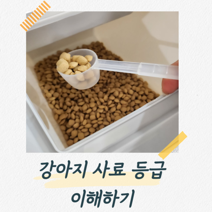  강아지 사료 등급 제대로 이해하고 좋은 제품 찾는 방법