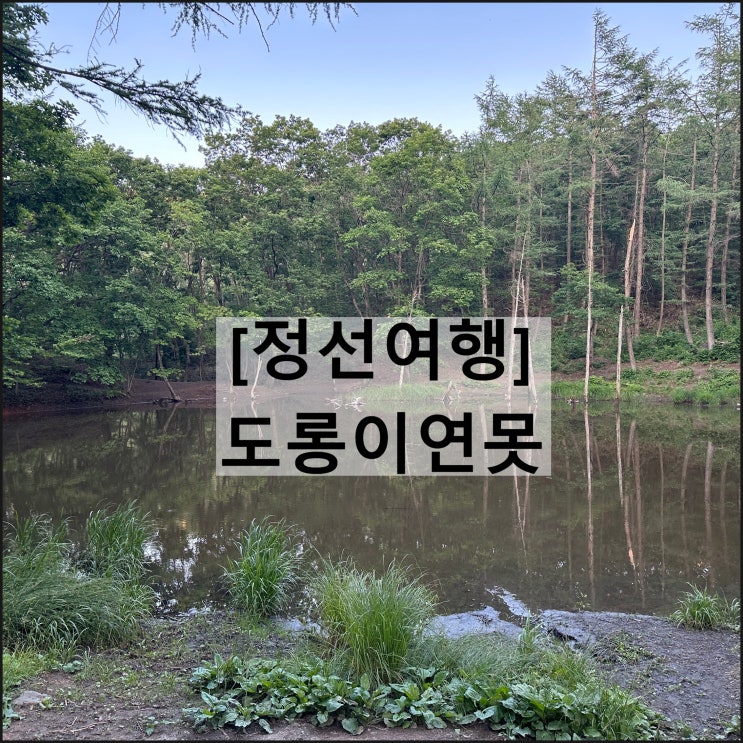  도롱이연못 | 정선여행 운탄고도 트레킹 야경 일몰 보성사 주차