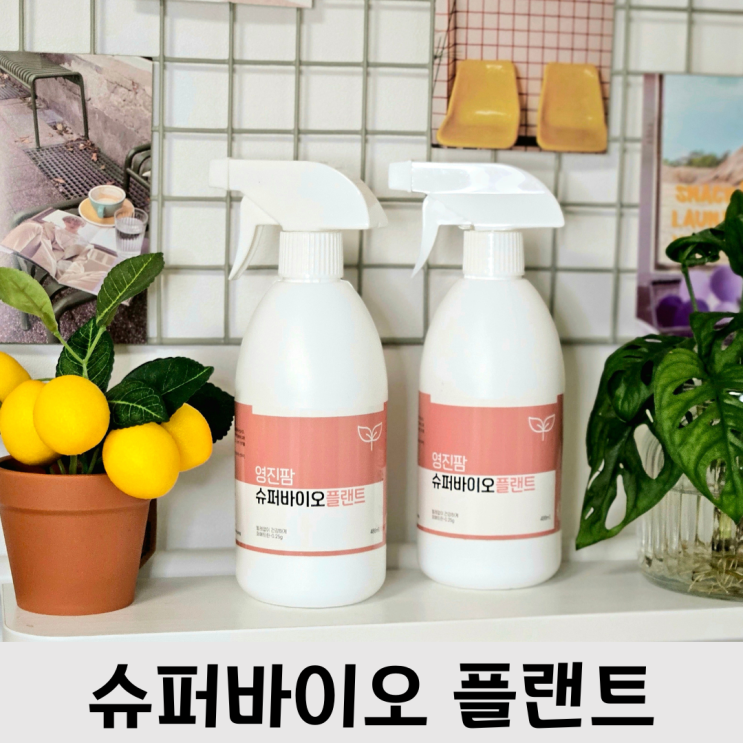  식물 응애퇴치, 뿌리파리 퇴치로 식린이 고민 종식한 제품