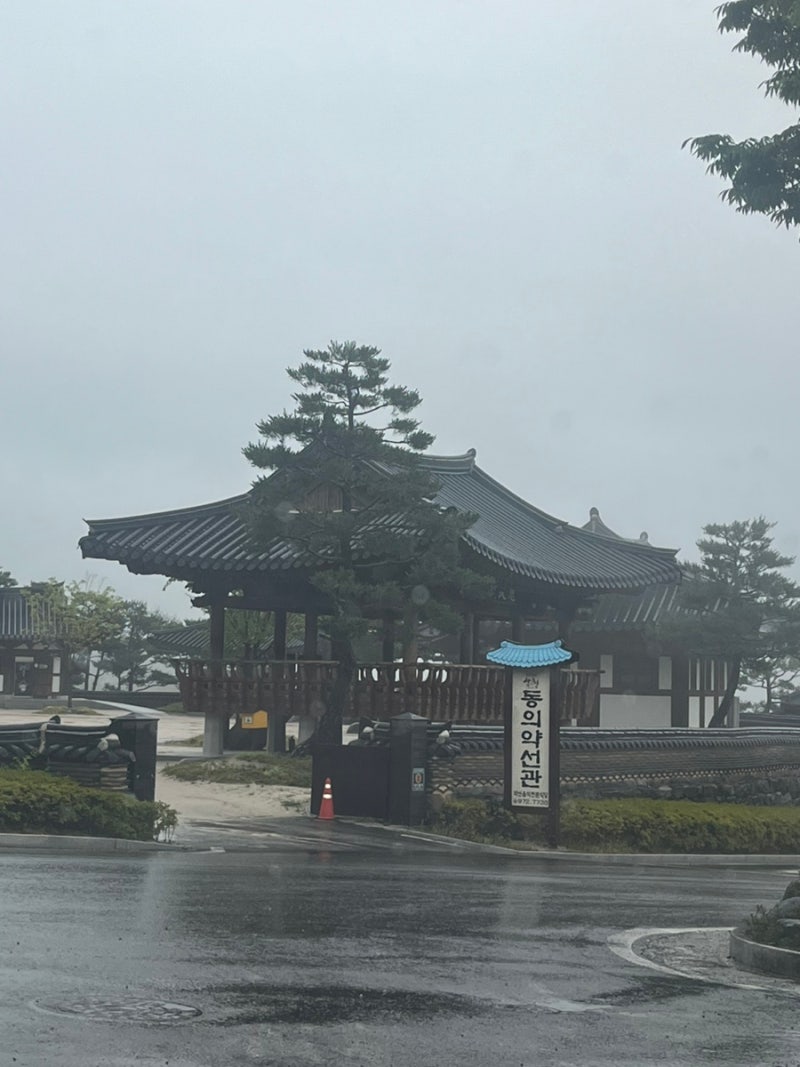 사진 2