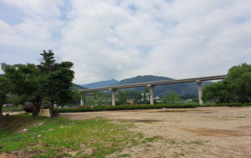 사진 4