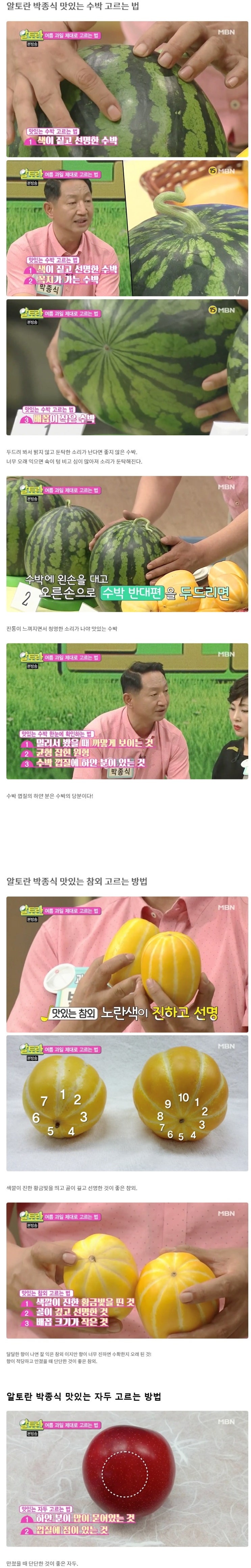  맛있는 수박 참외 자두 고르는 방법