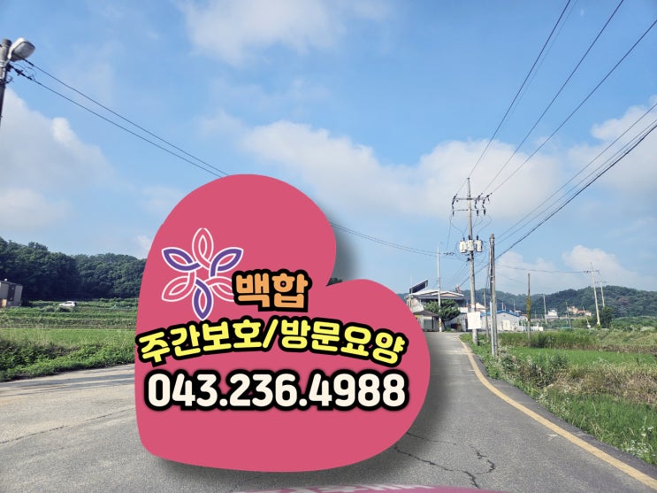  청주 주간보호 센터 장마 속에서도 활기찬 백합의 하루!